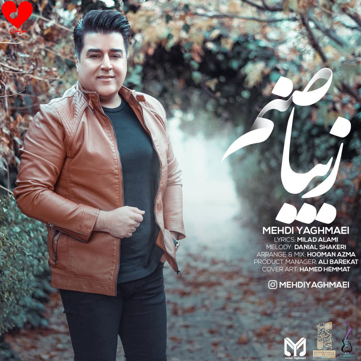 دانلود آهنگ زیبا صنم از مهدی یغمایی (تو شاه بانوی غزل من خانه ای روی گسل)