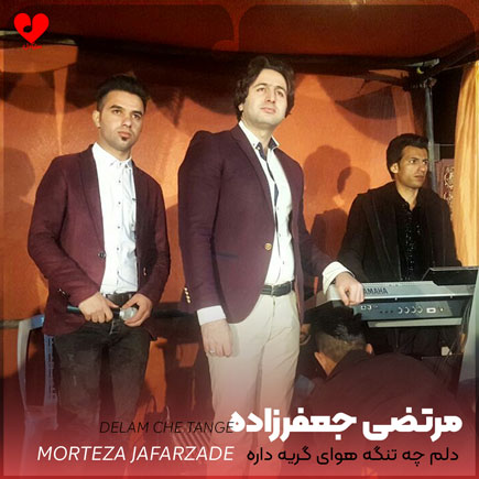 دانلود اهنگ دلم چه تنگه هوای گریه داره مرتضی جعفرزاده